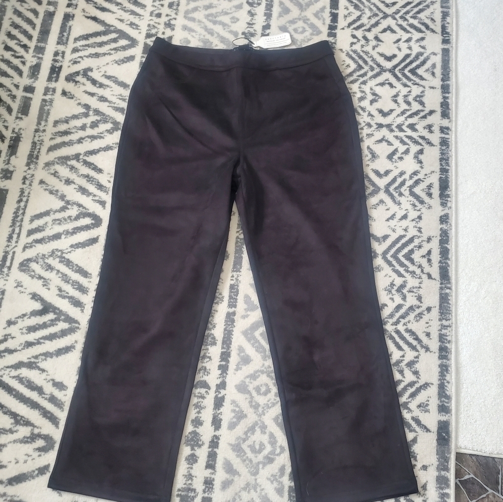 Sanctuary NWT pull on dark chocolate brown. Elastic waist. Sz xl straight leg
